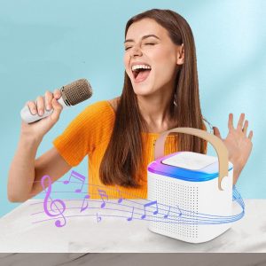 Outdoor Portable Microphone Audio Integrated
