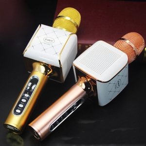 Car National Karaoke Microphone