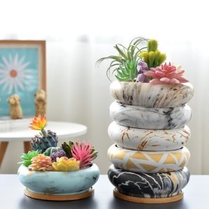 Ceramic Water Transfer Printing Succulent Flower Pot With Bamboo Tray…