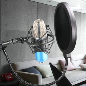 Microphone Windscreen Double-layer Mesh 15cm Large Karaoke Live Studio…